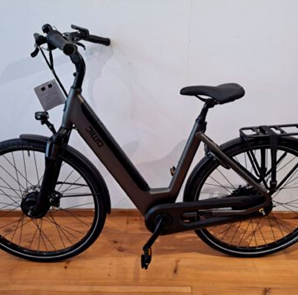 qwic premium e-bike van pimbike