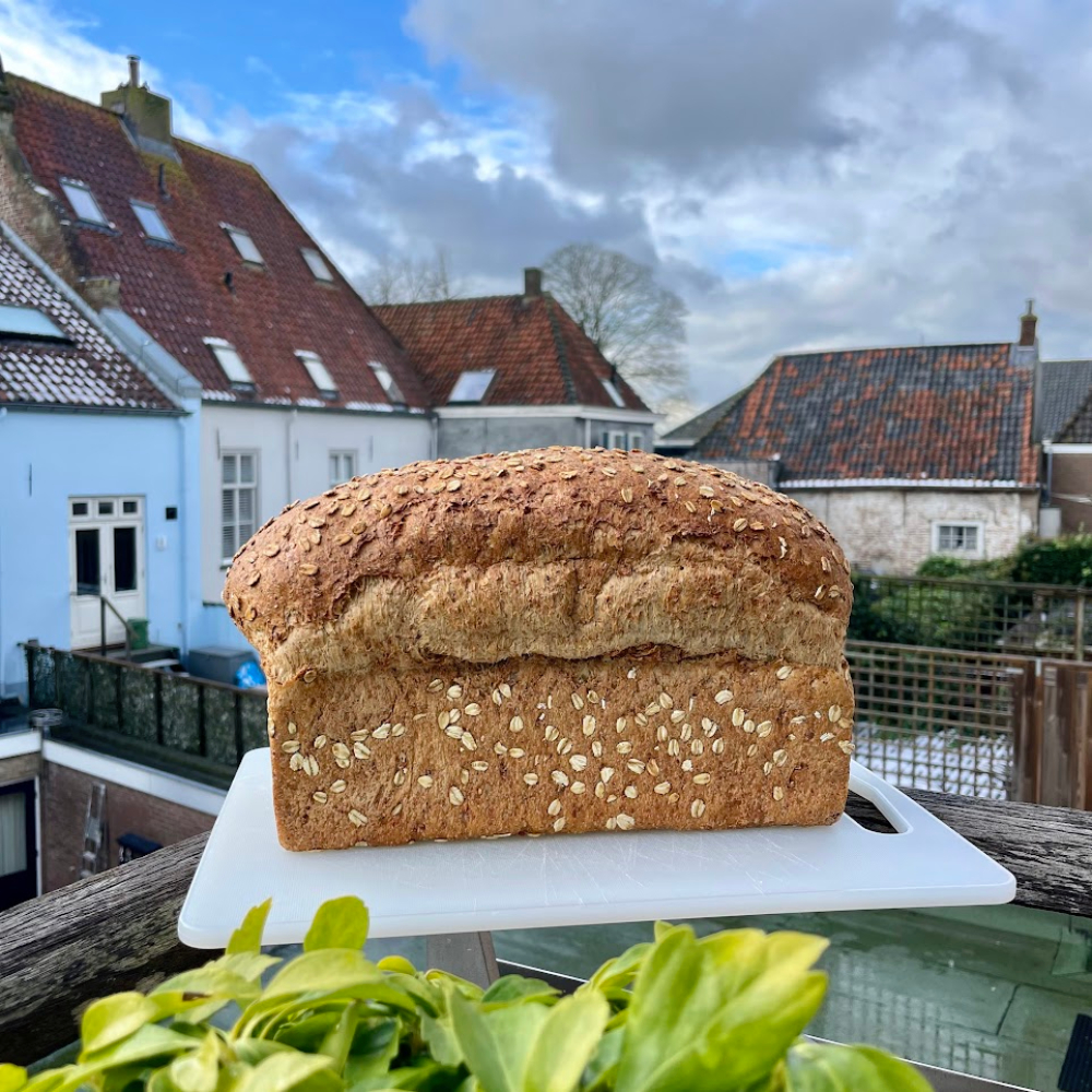 volkoren bus brood van bakkers lamers