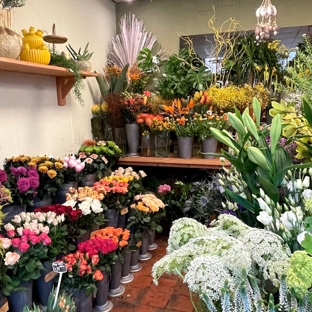 bloemen van bloemisterij de lavendel